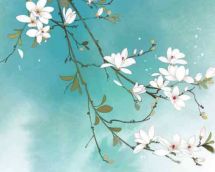 Сѧ��ɢ����ƪ����