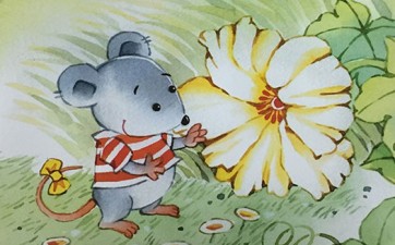 ���¼ҵ�С����